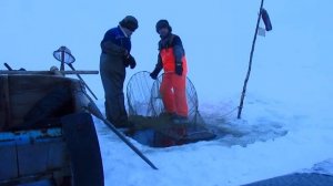 рыбалка мережей.белое море.зима 2020г.
