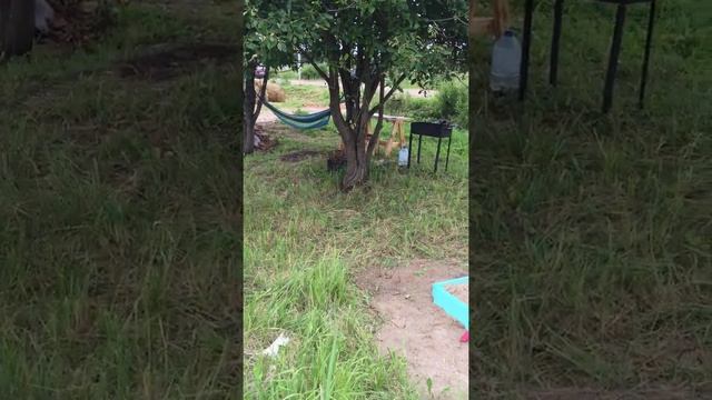 Благоустройство детской площадки