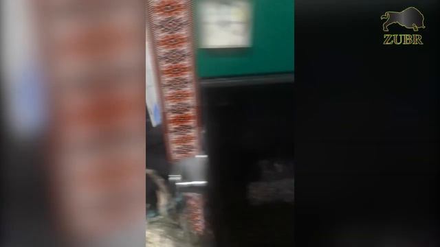 Як горить твердопаливний котел на тирсі, брикетах, дровах