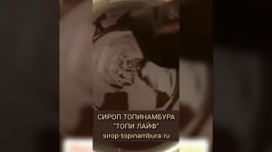 Приготовление шоколада на сиропе топинамбура Топи Лайф