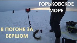 Горьковское море. Рыбалка на берша. Эхолот Практик 8 PRO WI FI