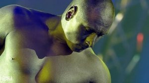 Circus  Gymnasts Aerialist | Цирк Гимнасты Воздушная гимнастка на полотнах