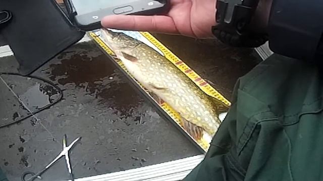 Рыбалка,Соревнования,Рыбалка в Черкассах смотреть онлайн