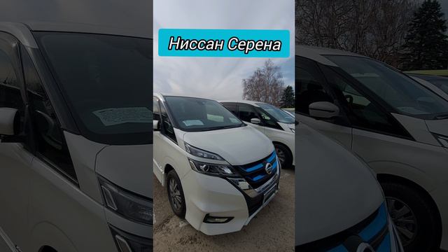 Авторынок. Ниссан Серена
#ниссансерена #авторынок #цены #сегодня