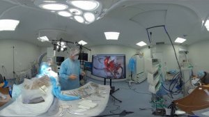 Лобный синус у собаки.360 видео.