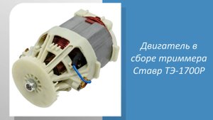 Двигатель в сборе электротриммера Ставр ТЭ-1700Р