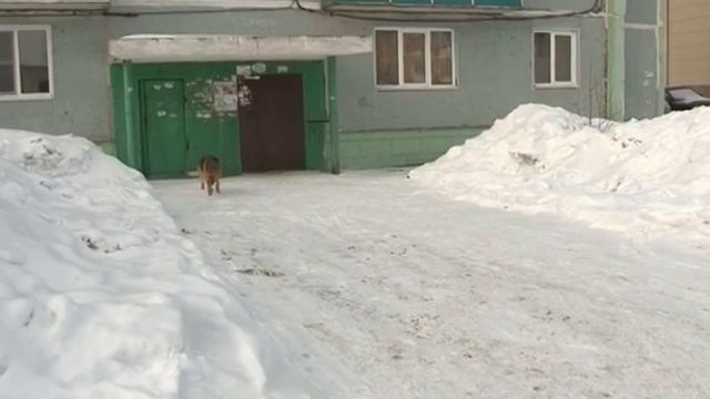 Ответственность за экстремистскую и террористическую деятельность