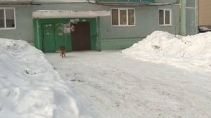 Ответственность за экстремистскую и террористическую деятельность