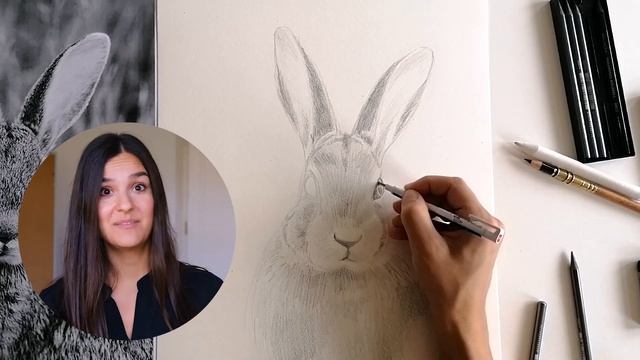 How to draw a beautiful rabbit with pencils смотреть онлайн