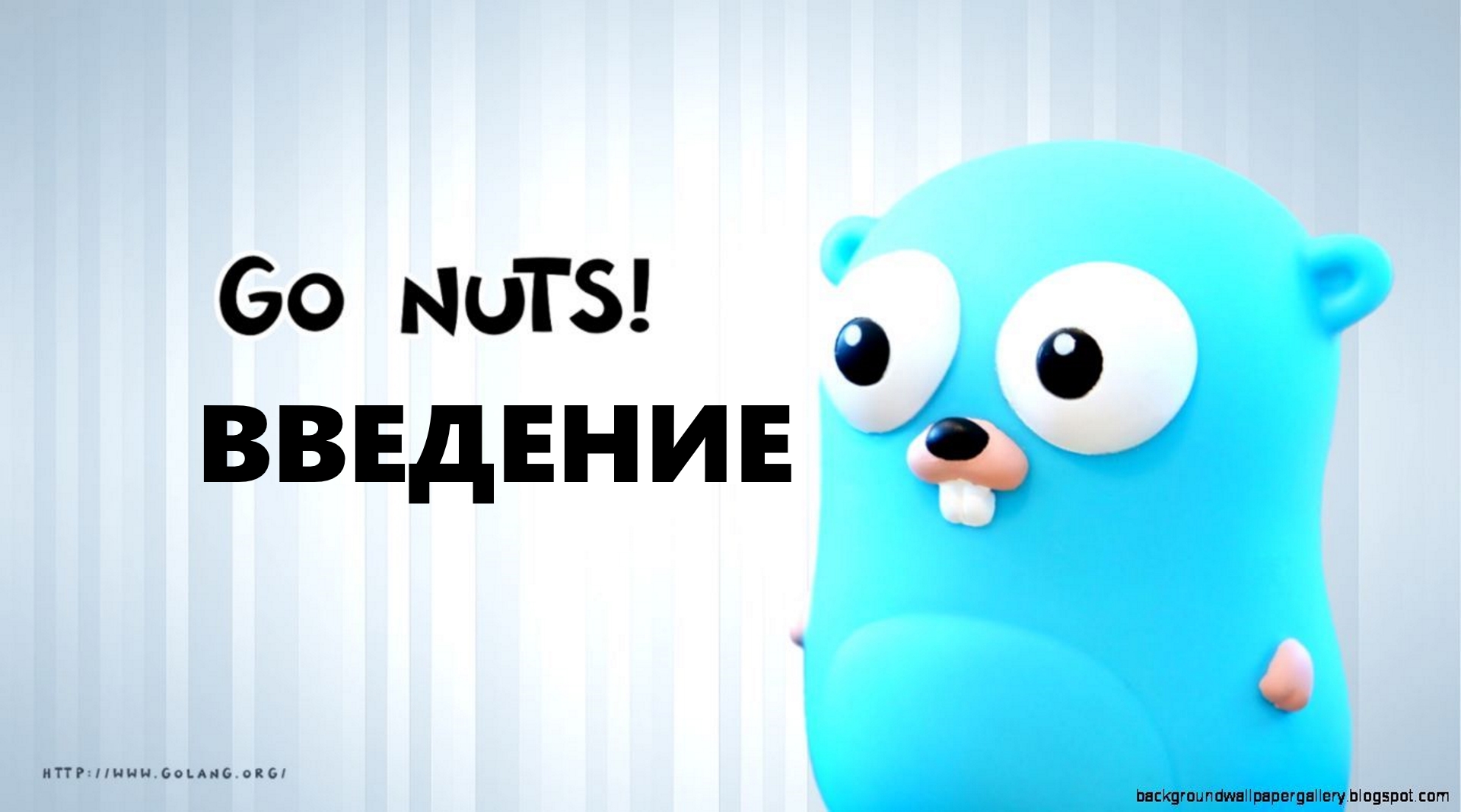 [GO]g Введение в Golang.Типы Данных 1