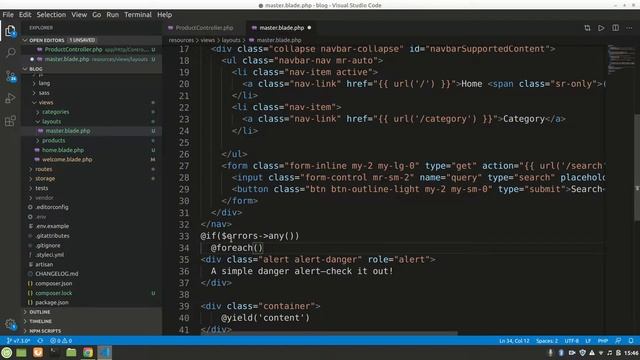 Laravel Form Validation and Display Error Message