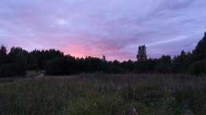 Поле на закате дня\Field at sunset. 4К, Выборгский район