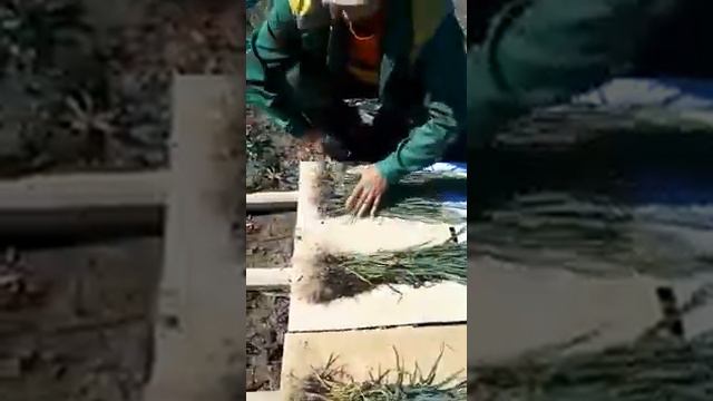 Кыргызстан боюнча эң чоң телеграмм группаларга кириниздер. Агро бизнес.  Айыл чарба багытында жумуш