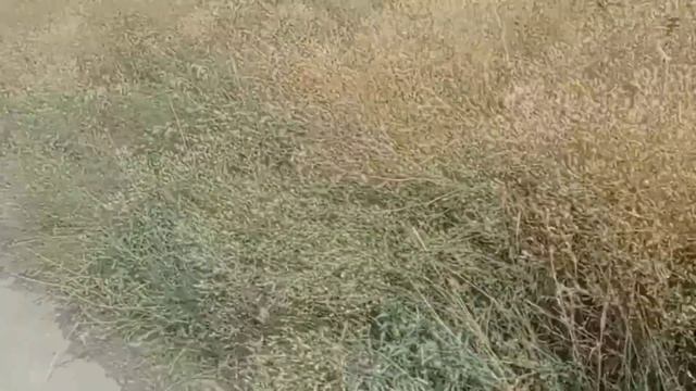 Часть 1. Поездка на поселок Мирный. Большая гумантирная помощь #Мариуполь #Мариупольвидео
