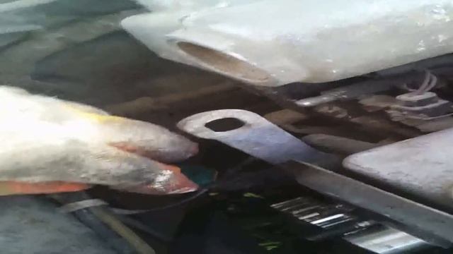 ВАЗ 2115 замена водяной помпы или как менять помпу смотреть онлайн