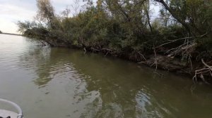 Краткий отчёт о рыбалке в Камне на Оби.