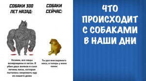 О современных сторожевых собаках, дрессировке и вырождении пород.