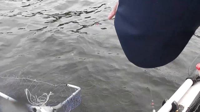 Рыбалка на жирного леща в конце августа на р.Волга - Троицкое. смотреть онлайн