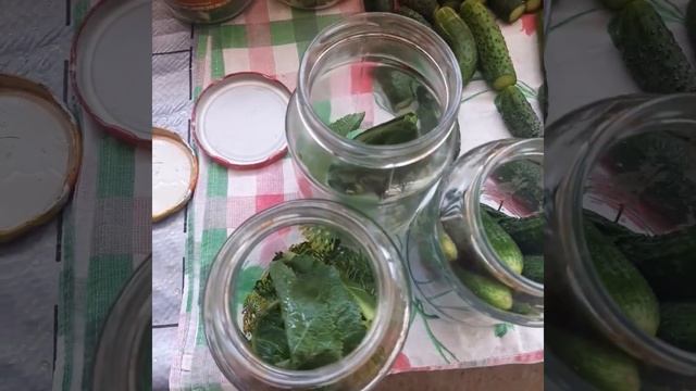 Заготовка на зиму. смотреть онлайн