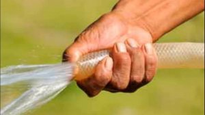 Красная редька выращивание и уход