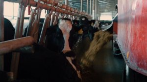 Где найти молодых специалистов? Насколько эффективны социальные сети?