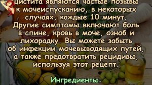 Мощный природный атибиотик1 Уничтожит инфекцию почек и мочевого пузыря.