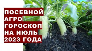 Посевной агрогороскоп на июль 2023 года. Посівний агрогороскоп на липень 2023 року