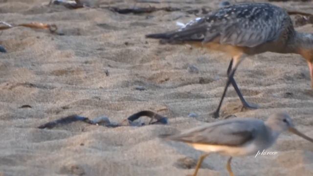 Бухта Зеркальная   Японское море Приморский край
