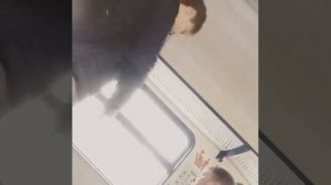 Электричка  Подмосковье из Мытищ в Москву/Бродячие музыканты в электричках /Таланты в электричках