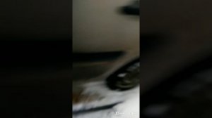Пробита гофра выхлопной трубы.