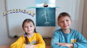 Самое большое животное и другие китообразные.