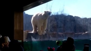 После Этого Случая Аквапарк Закрыли Навсегда! Топ 10