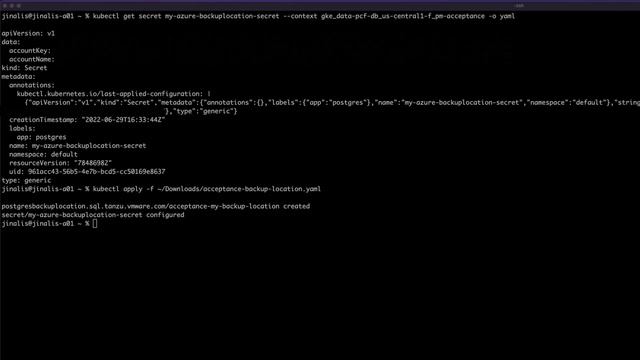 VMware Tanzu SQL Postgres for Kubernetes 1.8.0 Demo смотреть онлайн
