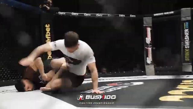 MMA Bushido 88 Highlights смотреть онлайн