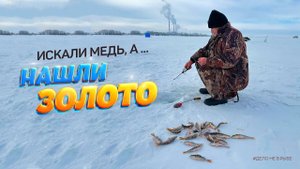Ловля окуня зимой. Искали медь, а нашли золото. Рыбалка на Ириклинском водохранилище. Мини-фильм