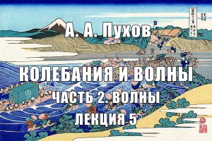 Лекция 5. Часть 2. Волны. Курс лекций "Колебания и волны". А.А. Пухов