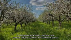 Заговор на возврат мужчины