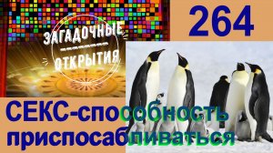 Секс - способность приспосабливаться (урок биологии). З/О_264.