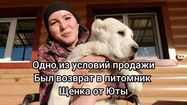 вот такой сюрпрайз я ждала целый год и наконец-то он у меня встречайте мою кровиночку АРЬЯ ТИМЕРТАШ
