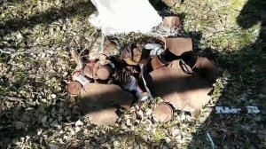 Сколько можно заработать, собирая и продавая мусор в лесу? Эксперимент