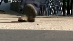 Новые технологии Карманный переводчик