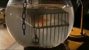 Самый лучший фильм(допрос)