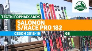 Тесты горных лыж Salomon S/Race Pro 182 (Сезон 2018-19)