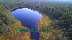 Таёжное озеро.В поисках рыбы./Рыбалка Севера.