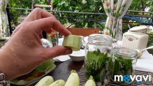 КАБАЧКИ МАРИНОВАННЫЕ, С ЛИМОННОЙ КИСЛОТОЙ, БЕЗ СТЕРИЛИЗАЦИИ