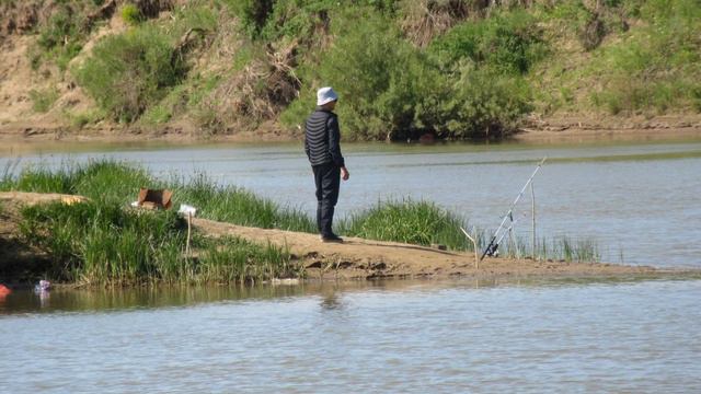 Природа Акмолинской области. Фотогалерея. смотреть онлайн