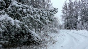 Футаж. Зимний пейзаж 105