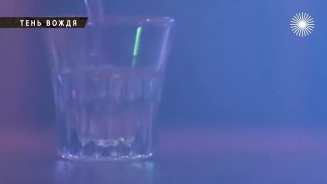 Тень Вождя Тайны Телохранителей Глав Государства смотреть онлайн