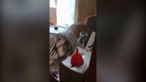 Дід Толя / Онук Саша / ЧАСТИНА 2 / НУ ШО ТИ КАПАРНИК ТАКИЙ !