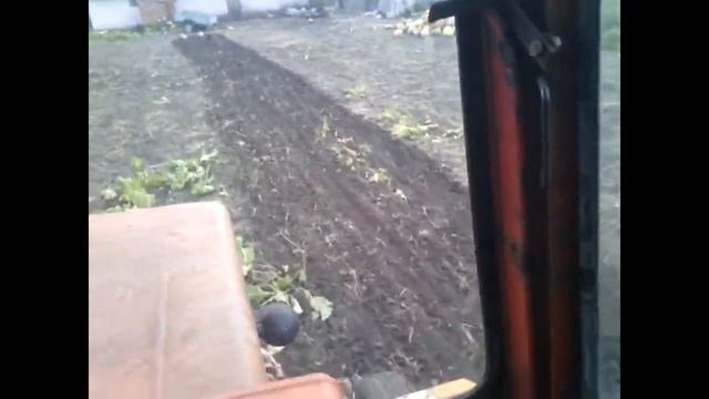 Культивация огорода,трактом т 25, после уборки фасоли смотреть онлайн